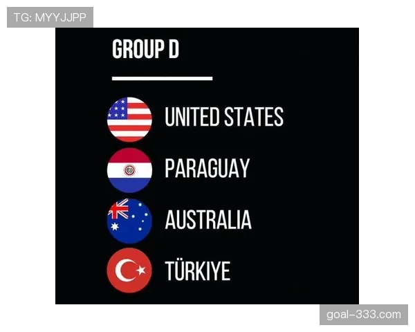 世界杯美国队D组球队身价排名分析